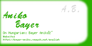 aniko bayer business card